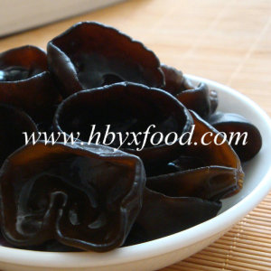 Originated in Northeast China Dry Black Fungus