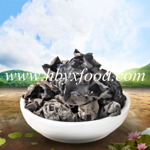 Cheapest Green Organic Healthy Food Black Fungus Vegetable